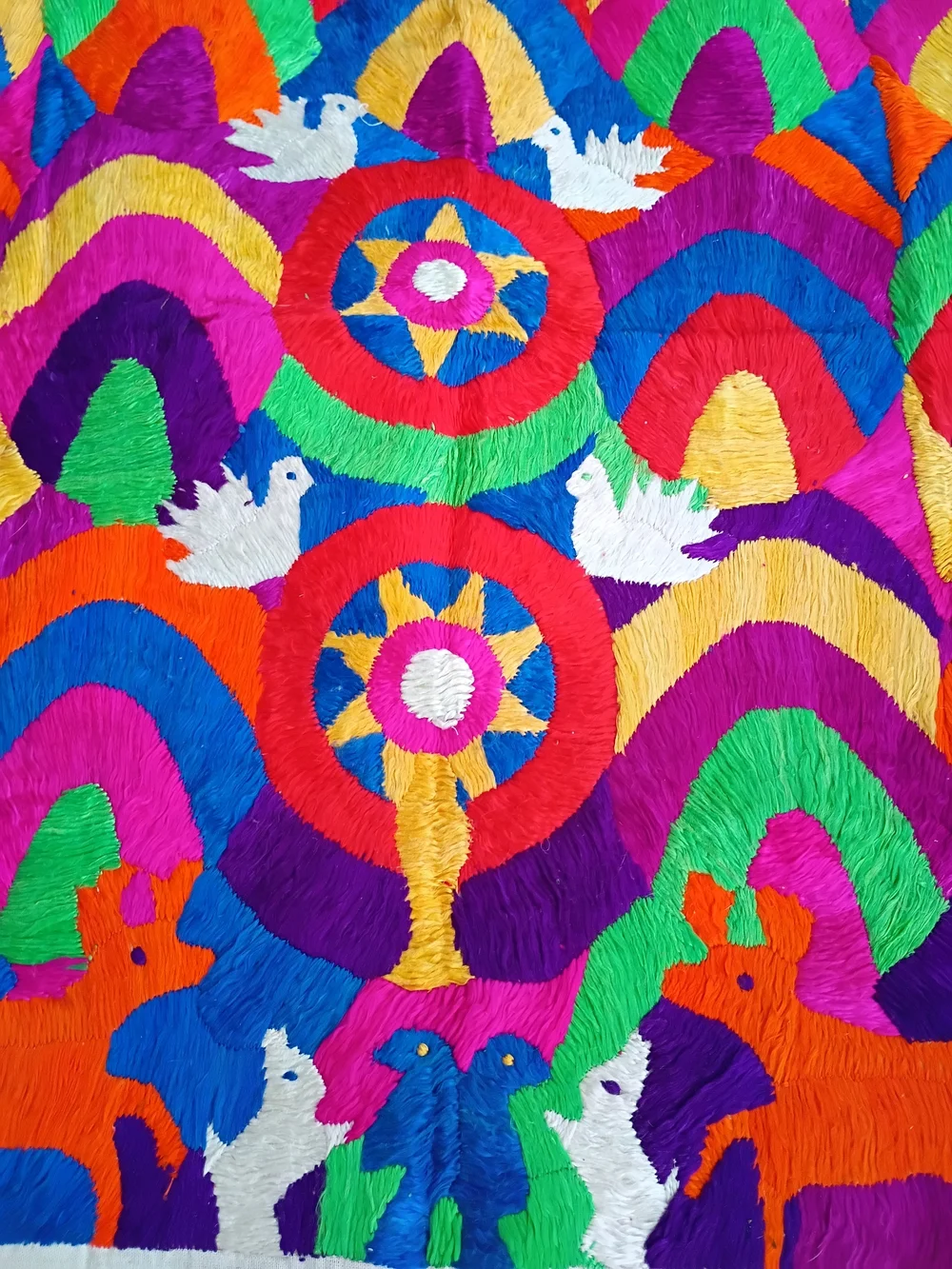 Guatemalan Paya
